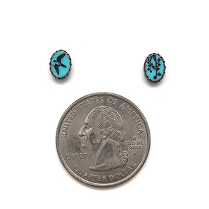Dainty Turquoise Studs - Pistachios