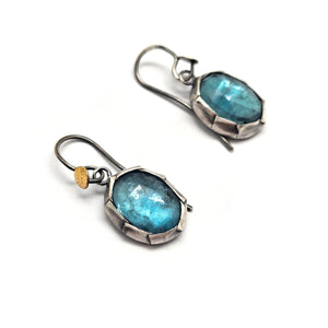 Blue Kyanite Dangle Earrings - Pistachios