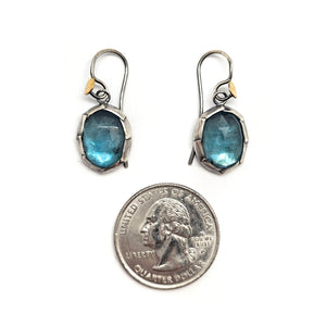 Blue Kyanite Dangle Earrings - Pistachios