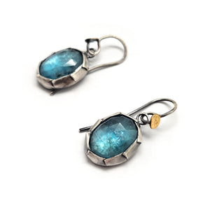 Blue Kyanite Dangle Earrings - Pistachios