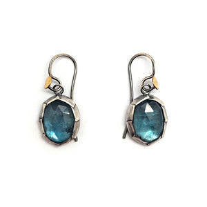 Blue Kyanite Dangle Earrings - Pistachios
