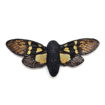Fossils Brooch