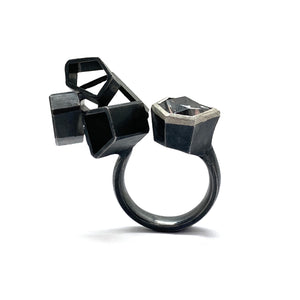 Geometric Crystal Ring-Rings-Sabine Müller-Pistachios