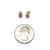 Gold Carved Studs - Coral-Earrings-Heather Guidero-Pistachios