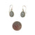 Gray Moonstone Hook Earrings-Earrings-Susanne Kern-Pistachios