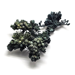 Green Flora Curiosa Brooch-Pins-Hanna Liljenberg-Pistachios