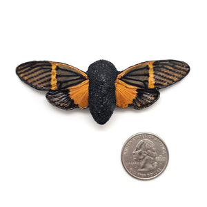 Orange Fossils Brooch-Pins-Märta Mattsson-Pistachios