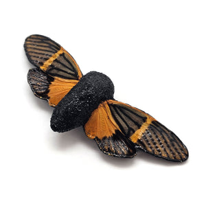 Orange Fossils Brooch-Pins-Märta Mattsson-Pistachios