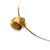 Organic Golden Petal Necklace-Necklaces-Anna Krol-Pistachios