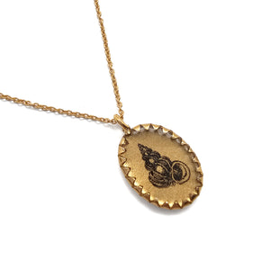 Oval Shell Necklace