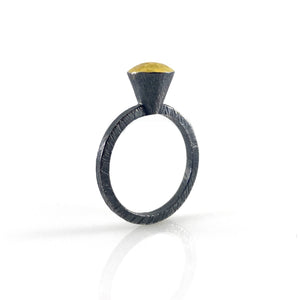 Oxidized Sterling Silver and 18k Gold Ring-Rings-Heather Guidero-Pistachios