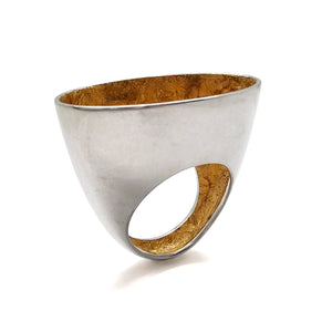 Silver and Inner Gold Ring