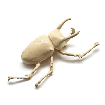 White Beetle Brooch