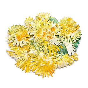 Yellow Flowers Brooch-Necklaces-Sofia Björkman-Pistachios
