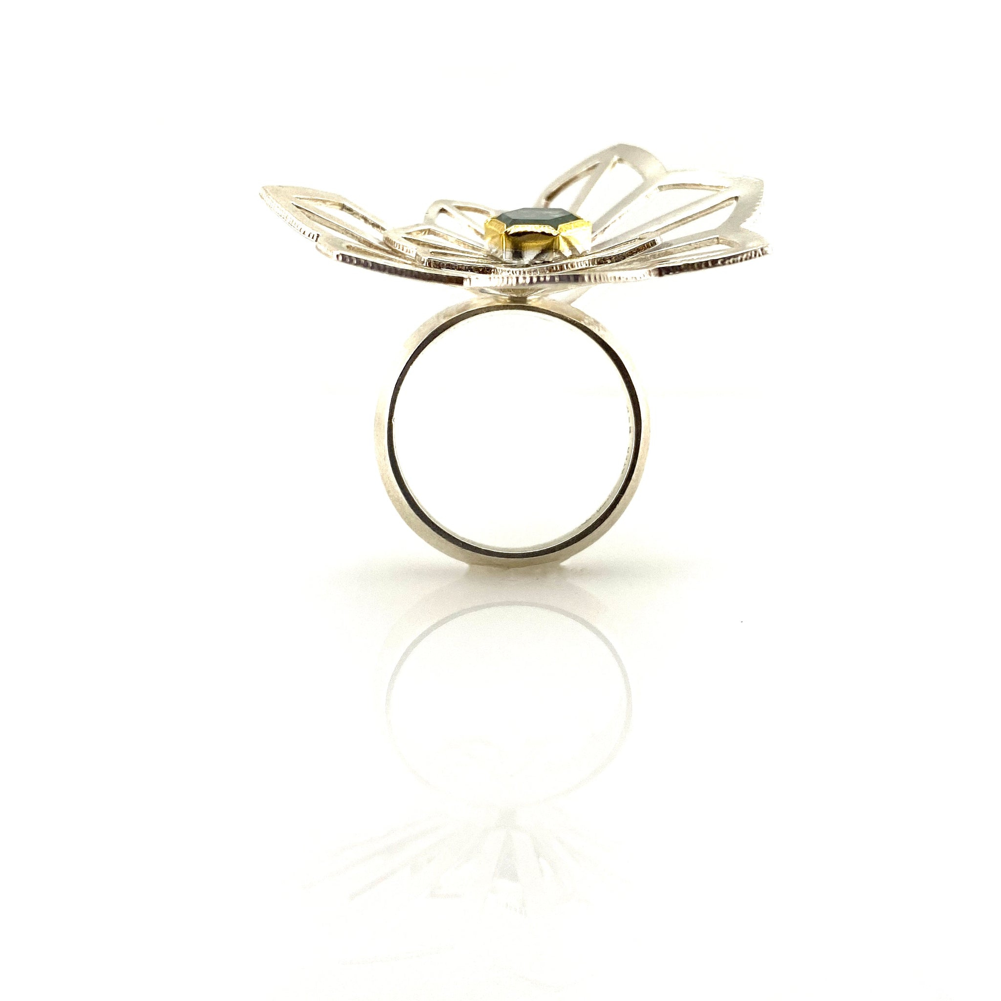 Alex and sales ani bee ring